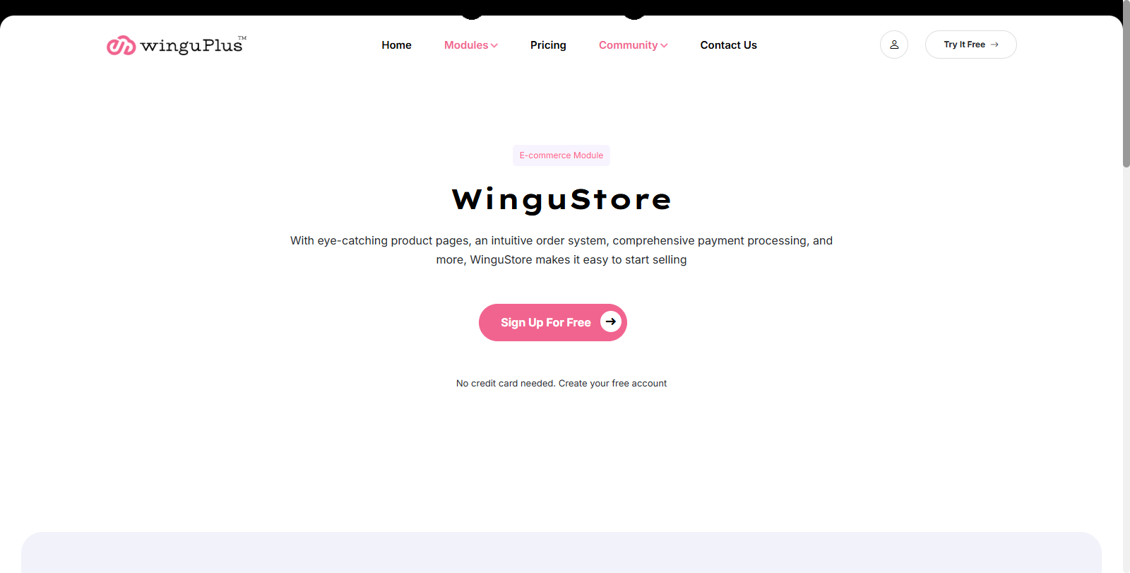 WinguStore